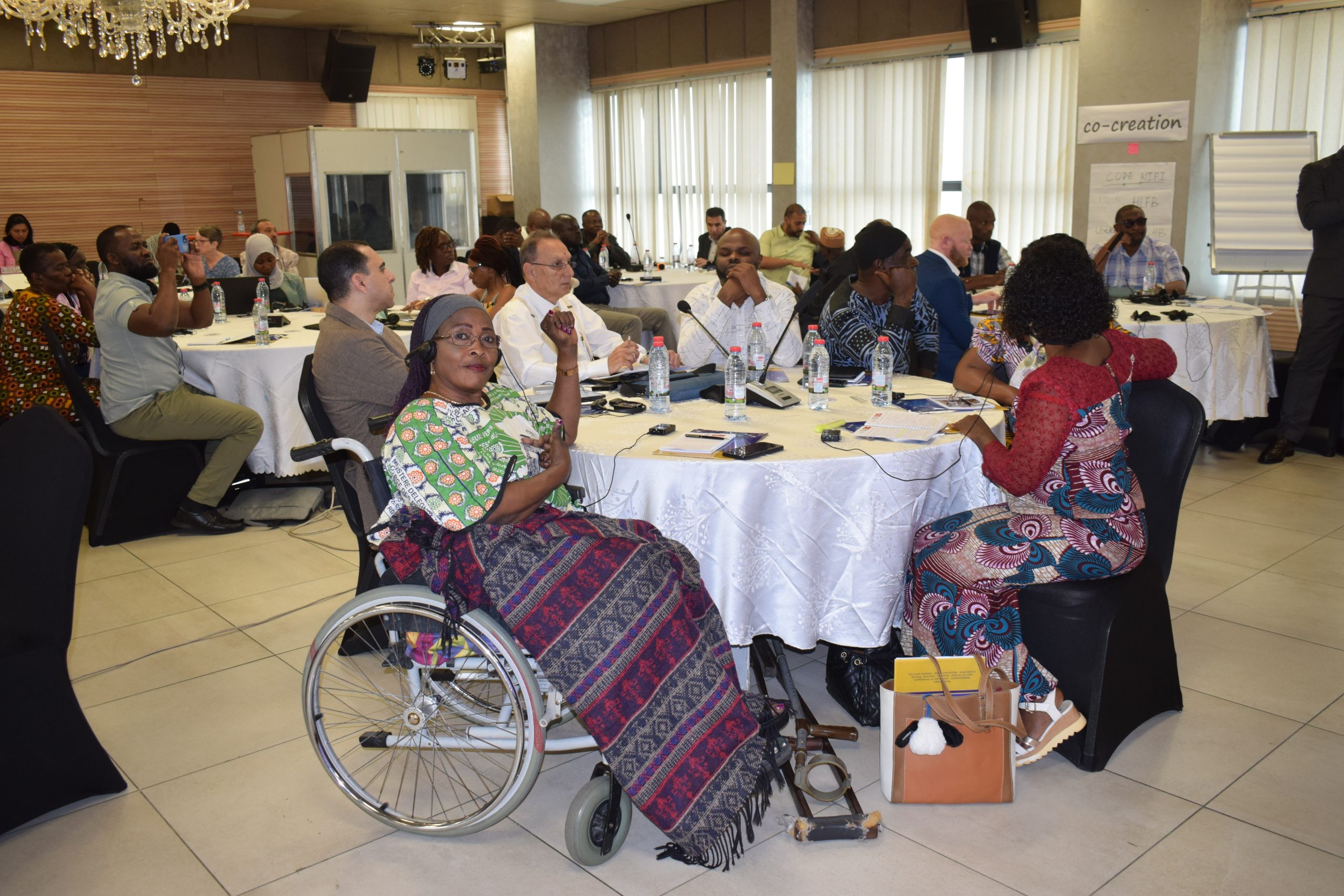 Regional workshops shape Centres of Excellence for disability inclusion